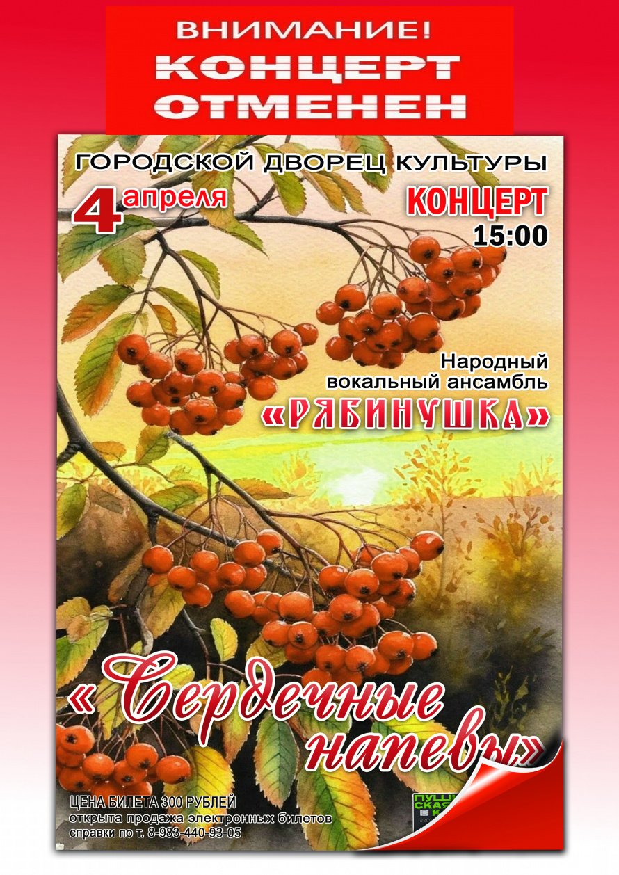 Концерт отменён